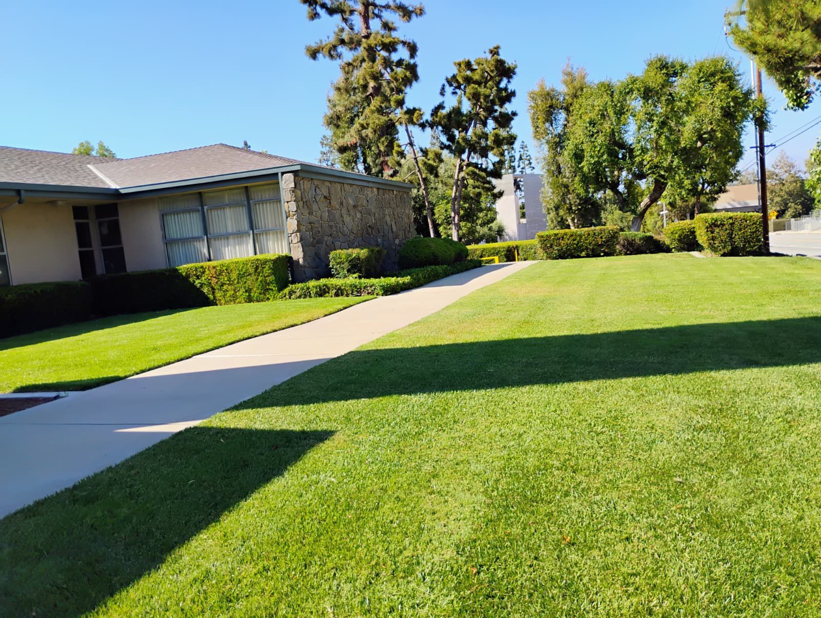 Maintained green lawn, trimmed hedges and trees around a property walkway