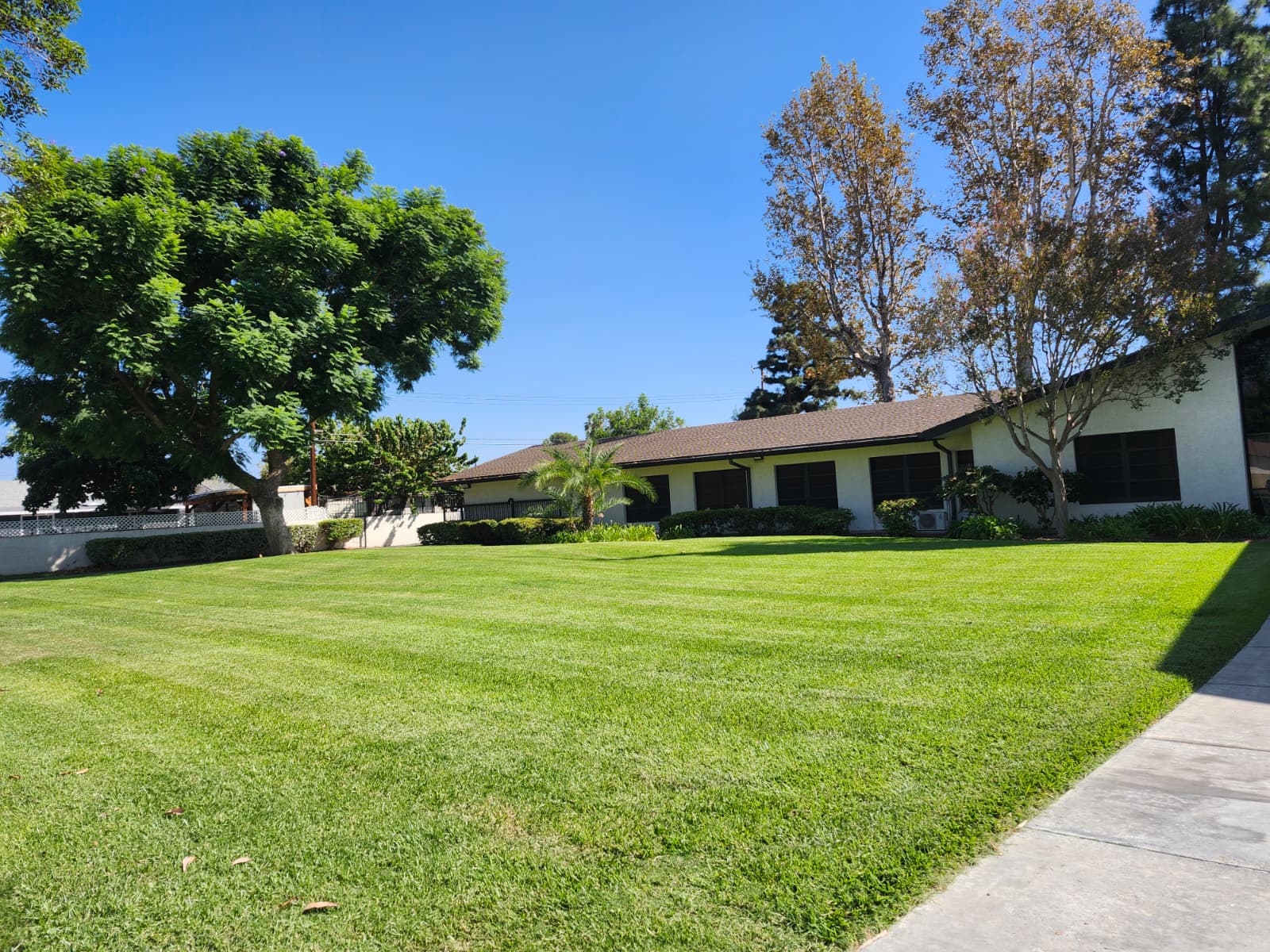 Freshly maintained lawn framed by mature trees and planting beds
